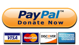 8-2-paypal-donate-button-high-quality-png